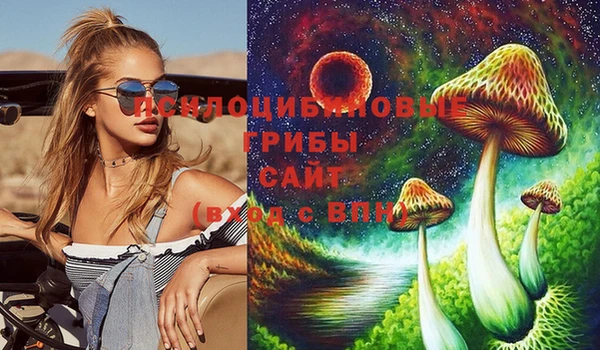 дживик Белоозёрский