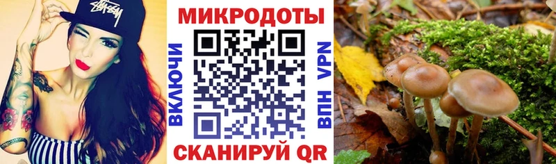 Псилоцибиновые грибы MAGIC MUSHROOMS  закладки  blacksprut вход  даркнет наркотические препараты  Мирный 